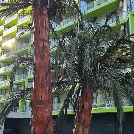 Promenada & Langa Plaja Mamaia Nord